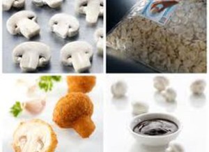 Інноваційна компанія з виробництва грибів і грибних концентратів, постачальник інгредієнтів для провідних продуктових брендів в більш ніж 70 країн світу, а також для підприємств громадського харчування і роздрібної торгівлі