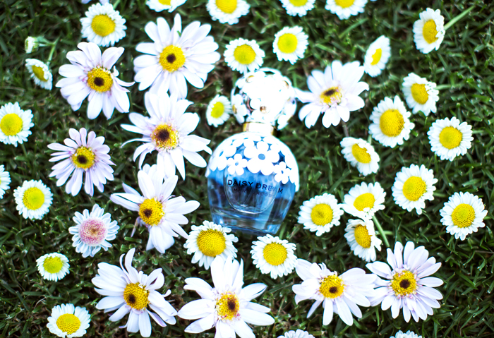 На відміну від знайомого нам з 2006 року парфуму, новий   Daisy Dream   став більш легким і різнобічним ароматом, користуватися яким влітку одне задоволення